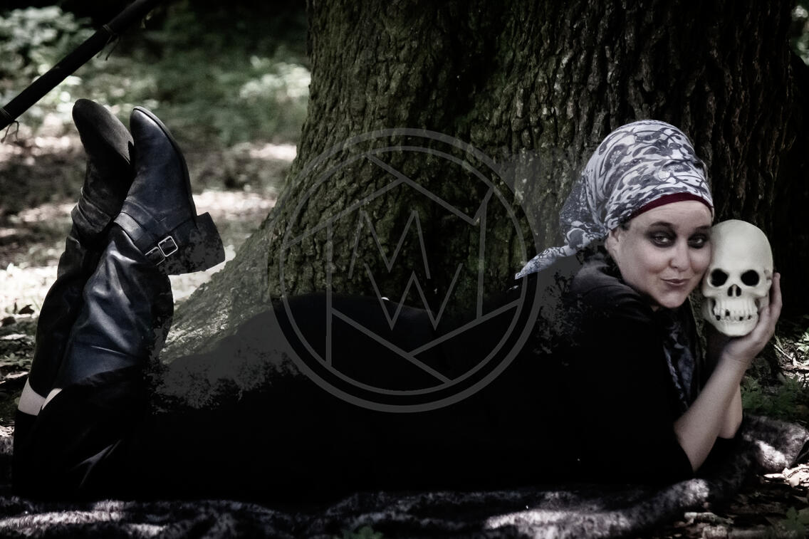 Hoggetowne Medieval Faire