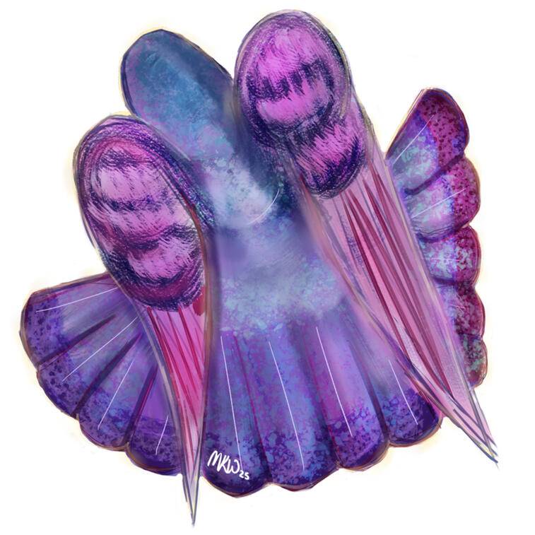 Digital art of a pigeon from behind with its wings slightly spread, the feathers in shades of the bisexual pride flag, pink, purple, and blue.