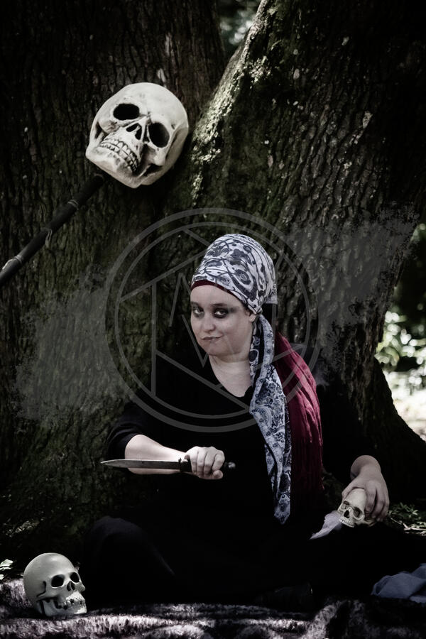 Hoggetowne Medieval Faire Hoggetowne Medieval Faire