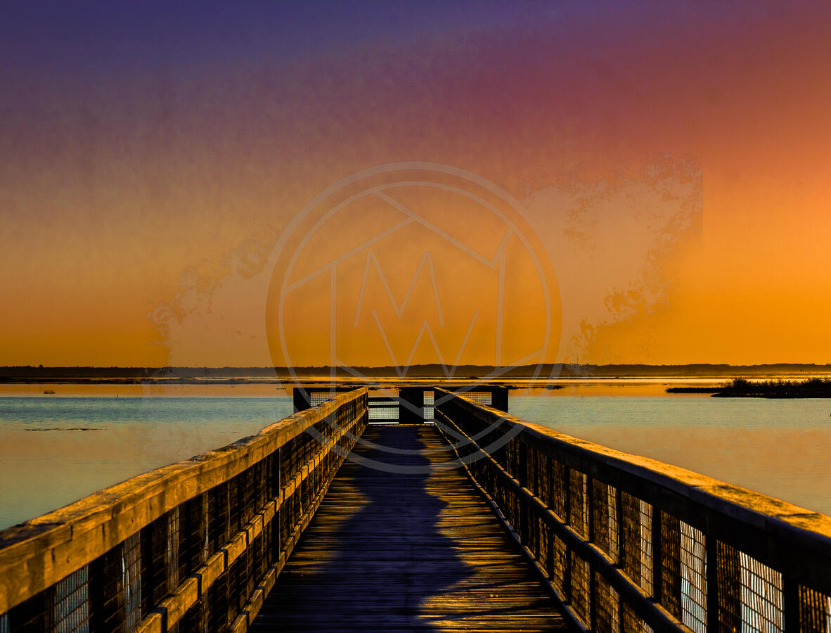 Walk The Dock Walk The Dock